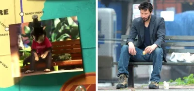 Multfilmlərdə və filmlərdə kinomanların belə qaçırdığı maraqlı kadrlar