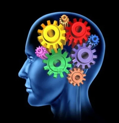 Dünyanın ən qısa İQ testi ilə siz də tanış olun