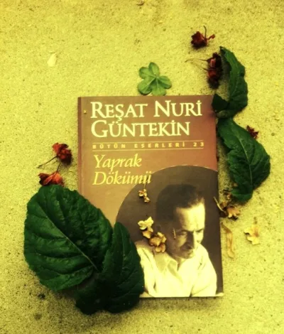 Rəşad Nuri Güntəkinin "Yaprak dökümü" əsərindən seçilmiş sətirlər