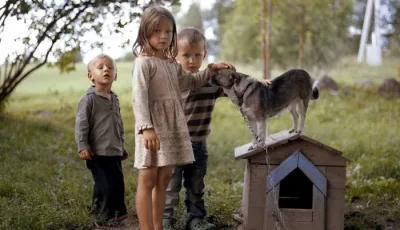 2017 Sony dünya foto müsabiqəsindən seçmə 64 şəkil