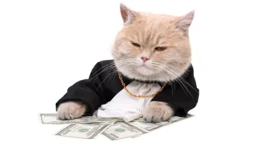 Effektiv əmək haqqı nəzəriyyəsi