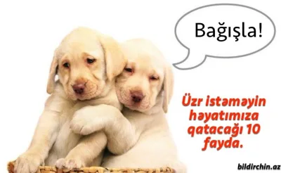 Lazım olduğu zaman üzr istəməyin həyatımıza qatacağı 10 fayda