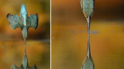 6 il, 4200 Saat və 720.000 sınaqdan sonra istədiyi fotoşəkli çəkdi