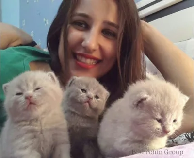 "Sevimli heyvanım və mən" müsabiqəsinin nəticələri