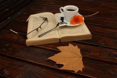 Kitab yazmaq üçün yazıçılardan örnək götürdüyümüz vərdişlər (kitab yazmaq istəyənlər üçün faydalı)