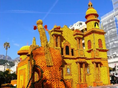 C vitaminli festival - Fransa