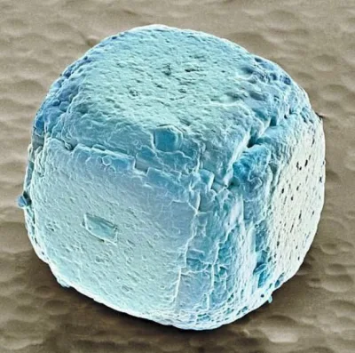 Yediklərinizə mikroskopla baxmaq istəyirsinizmi ? (Fotolar)