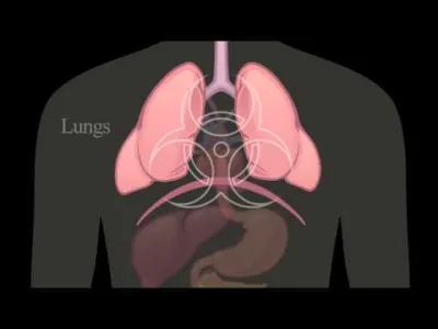 Oruc tutanda bədənimizdə nə baş verir ? (Video)