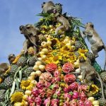 Monkey_Buffet_Festival_Thailand_Tours_Travel_3