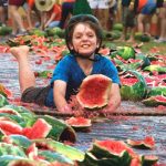 cropped-chinchilla-melon-festival